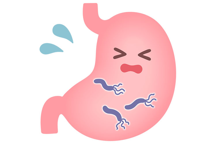 ピロリ菌のイメージイラスト